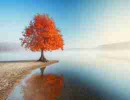 免‌费‍php开‍发‍方​法​有‍哪﻿些‌软‍件﻿